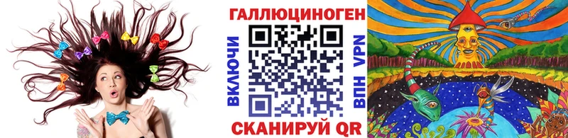 Галлюциногенные грибы Psilocybe  Куровское 