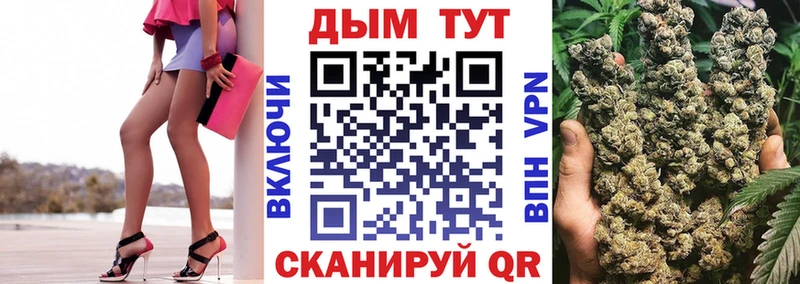 Конопля SATIVA & INDICA  Куровское 